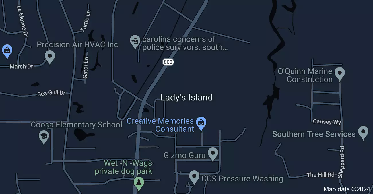 map of lady's island
