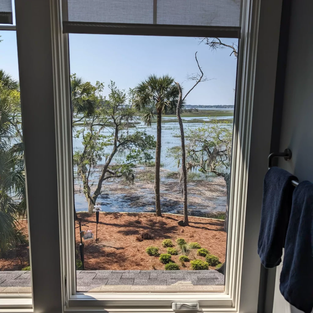tints block harmful UV rays